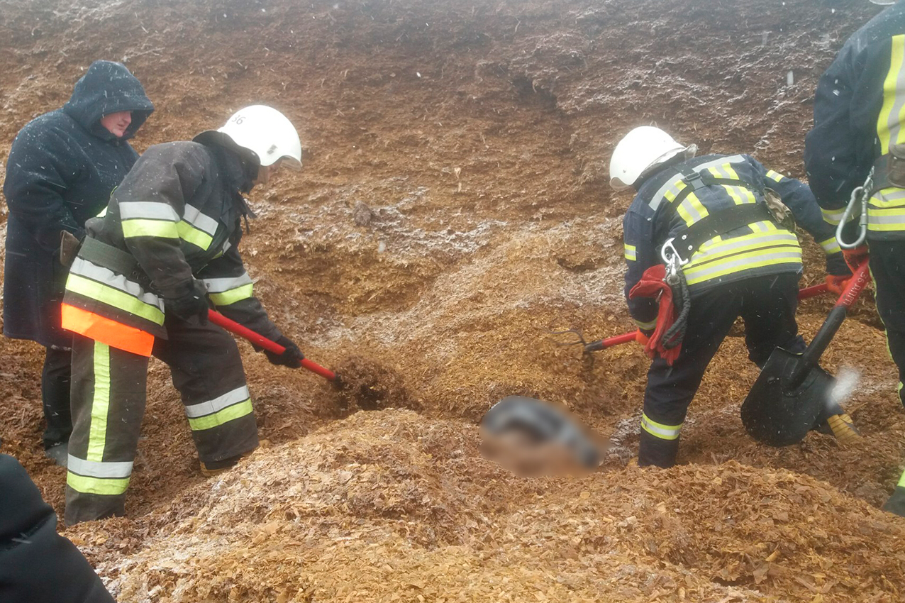 НА ПІДПРИЄМСТВІ ТЕОФІПОЛЬЩИНИ СТАВСЯ ЗСУВ СИЛОСУ: ОДИН ЧОЛОВІК ЗАГИНУВ, ДВОЄ – ТРАВМОВАНИХ (ФОТО, ВІДЕО) НА ПІДПРИЄМСТВІ ТЕОФІПОЛЬЩИНИ СТАВСЯ ЗСУВ СИЛОСУ: ОДИН ЧОЛОВІК ЗАГИНУВ, ДВОЄ – ТРАВМОВАНИХ (ФОТО, ВІДЕО)