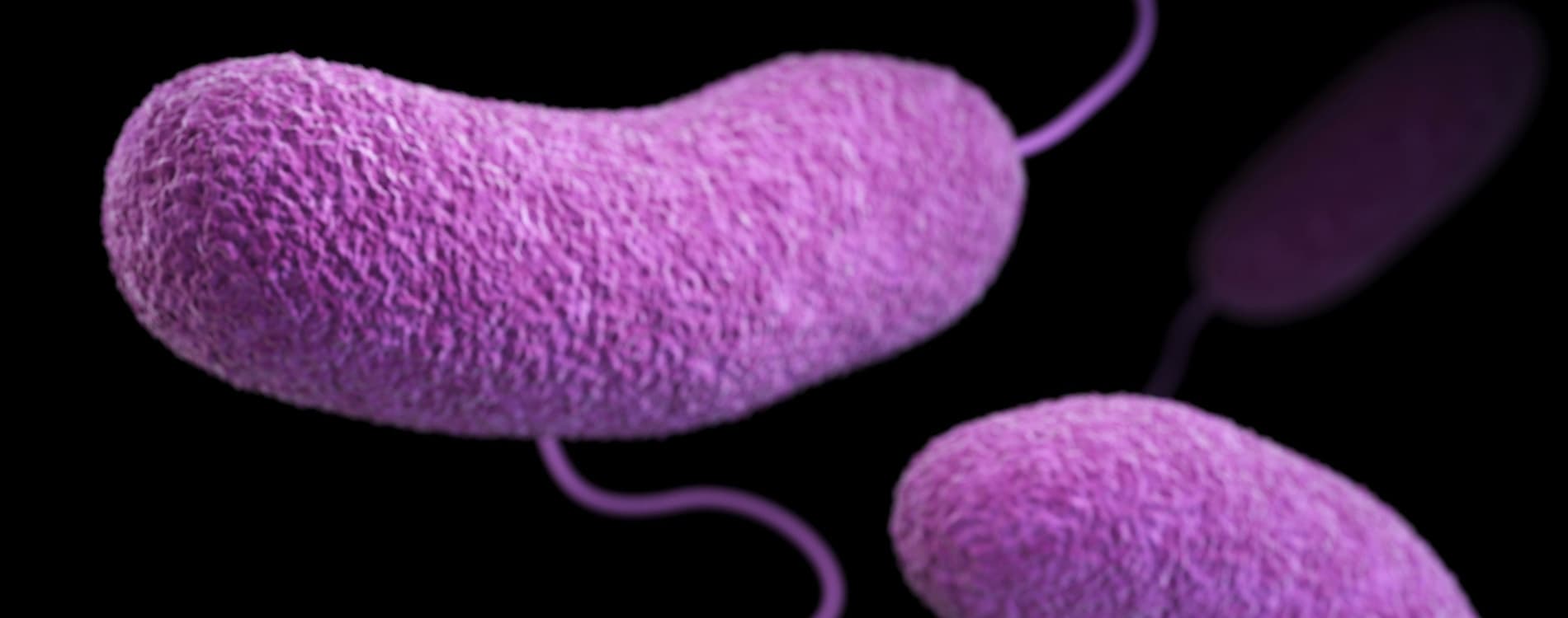 аналіз на хламідіоз