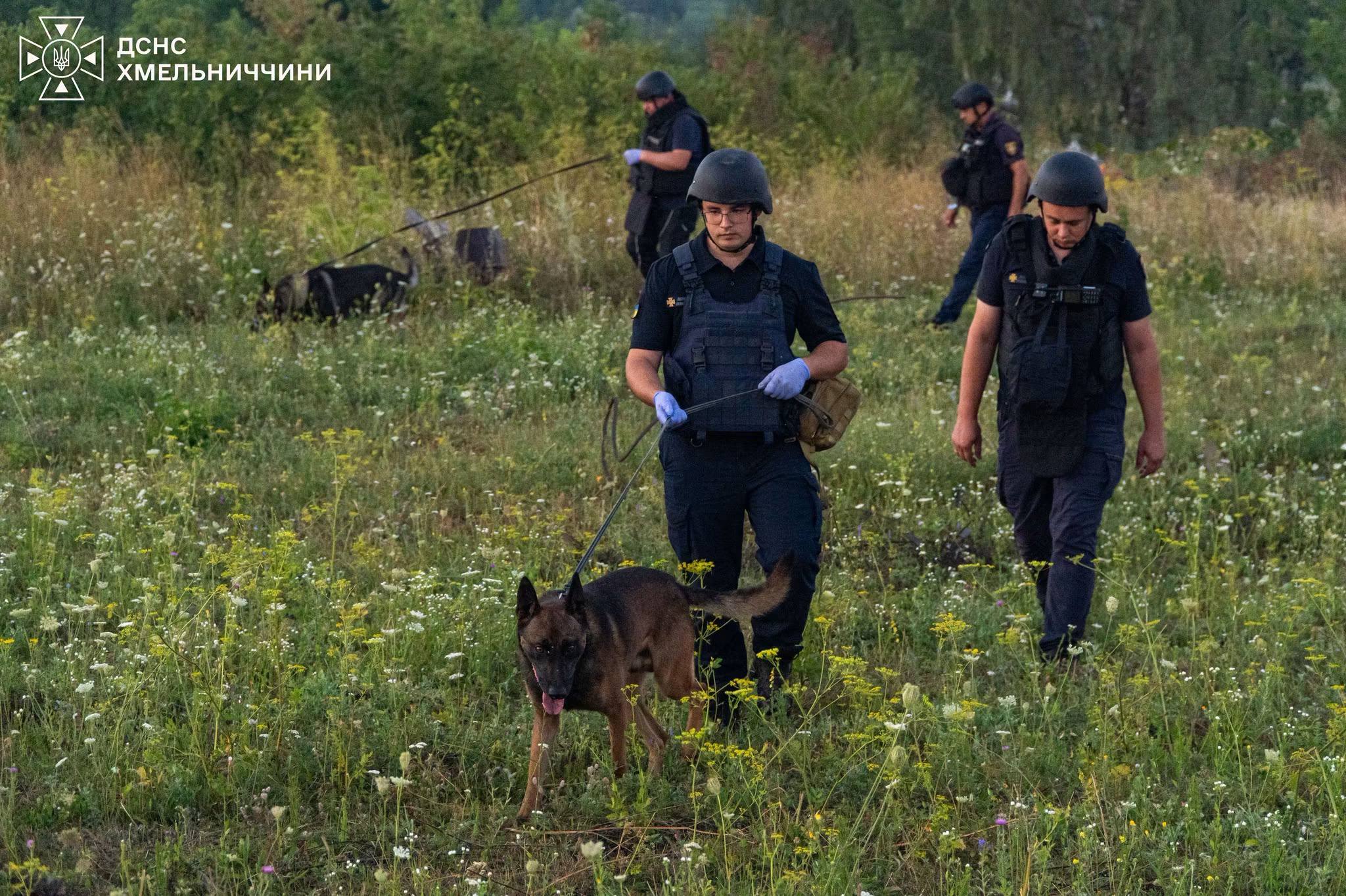 До пошукових робіт після вибуху на полігоні в Хмельницькому залучають службових собак (ВІДЕО) До пошукових робіт після вибуху на полігоні в Хмельницькому залучають службових собак (ВІДЕО)
