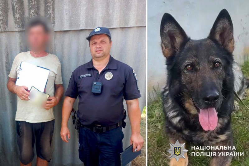 На Кам’янеччині службова вівчарка допомогла розшукати зниклого через спеку чоловіка На Кам’янеччині службова вівчарка допомогла розшукати зниклого через спеку чоловіка